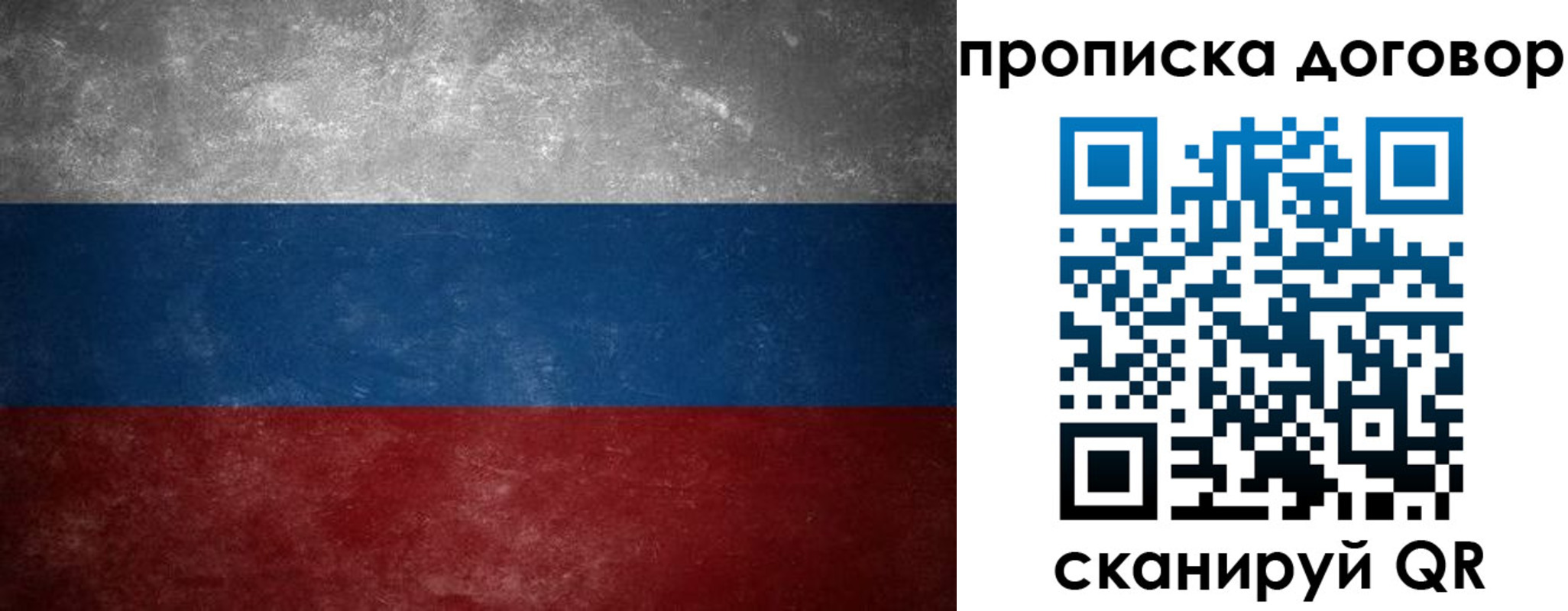 прописка 2025 в Королёве
